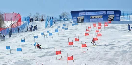 十四冬高山滑雪比赛