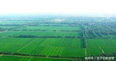 下月起，农村有5个好消息，与各家有关，网友农村越来越好了