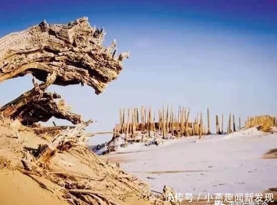 楼兰古城老照片,文明消失之谜?