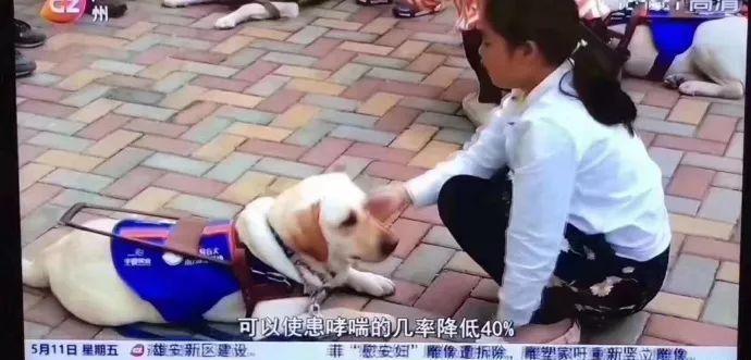 还在相信怀孕不能养宠物吗？ 连央视新闻都出来辟谣了!