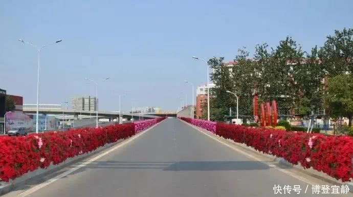  「城市」打造城市立交花桥景观节点！石家庄这个街道将进行景观提升
