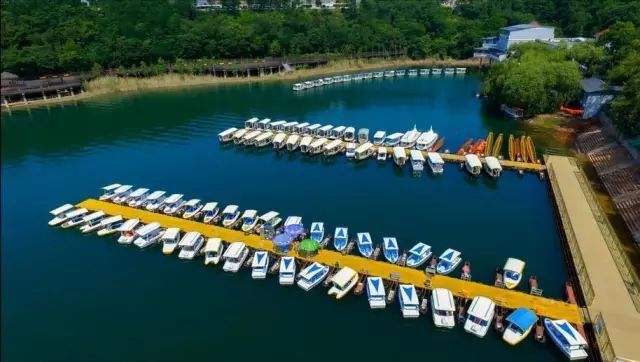  『美景』绵阳初夏最美的摄影美景地，竟然藏在这里