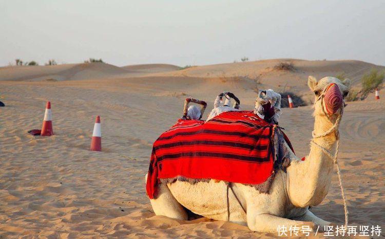 土豪之国迪拜四日游,实用攻略送给你,预算不到五千块!