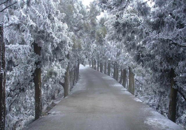 春节游客前60名,湖南这2个城市,名列全国前十