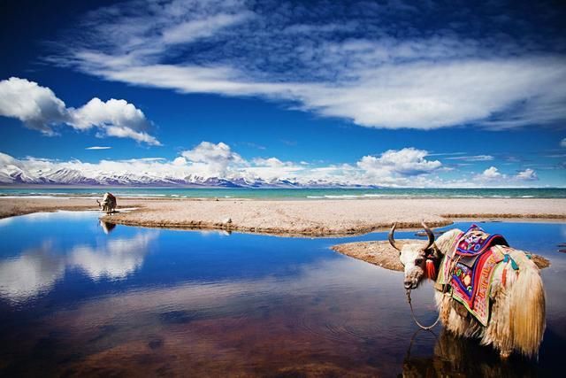 他们这种穷游，在进藏的朝圣路上，让很多人难以理解