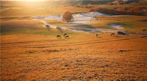 两千块也能玩出小众新天地?带你深度体验秋天最美神秘大草原