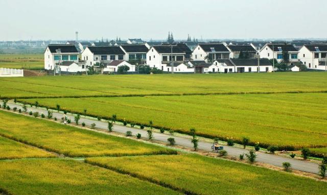 危言耸听！“禁养”文件已下发？伪专家：土地少的农民不要种地了