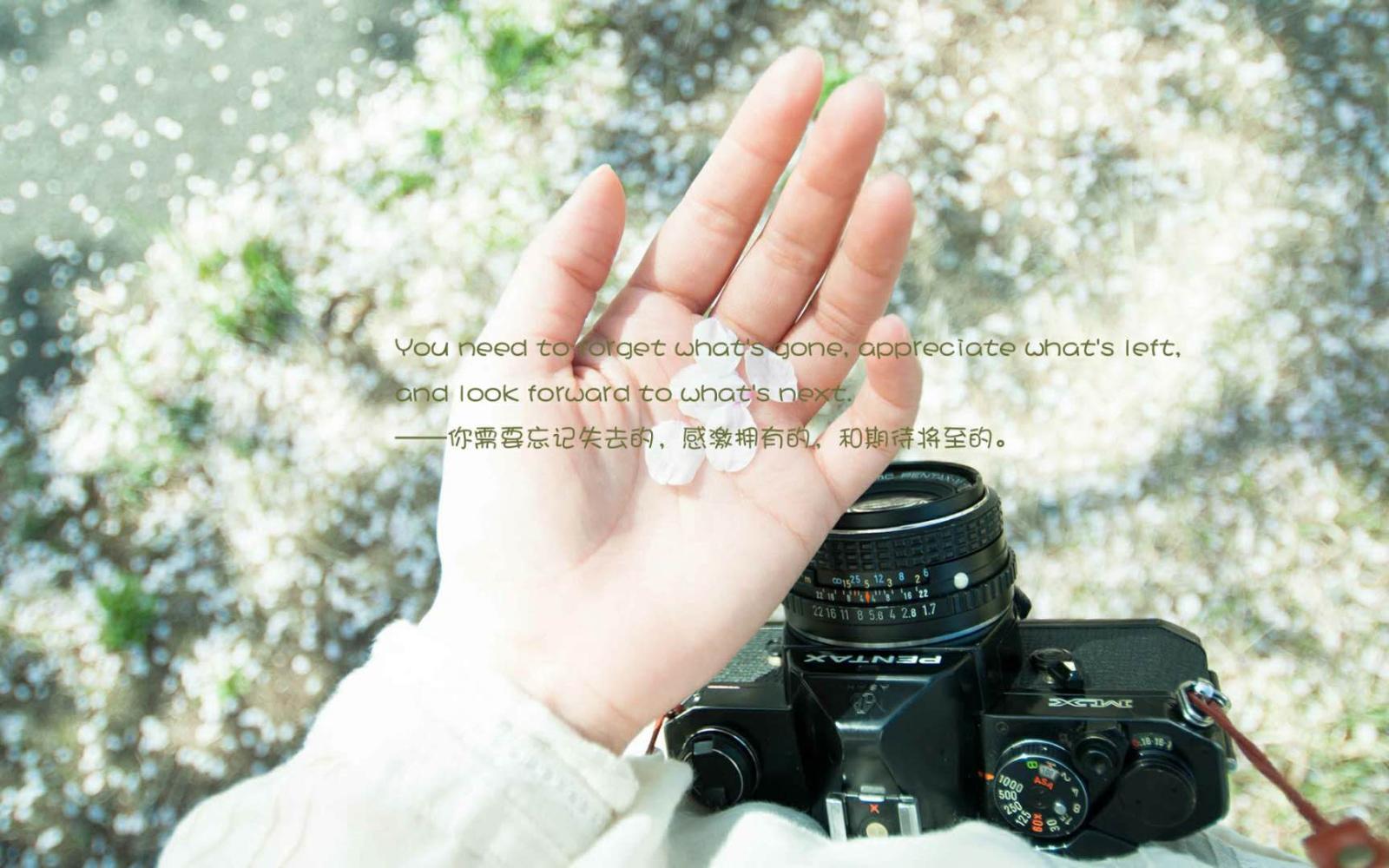 《诗经》里最美的句子, 美到骨子里!