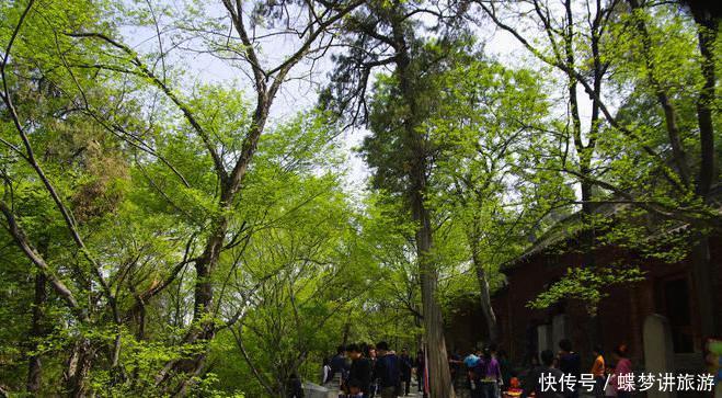 山东这个小县城走运了，已拥有机场，还将迎来700亿高铁