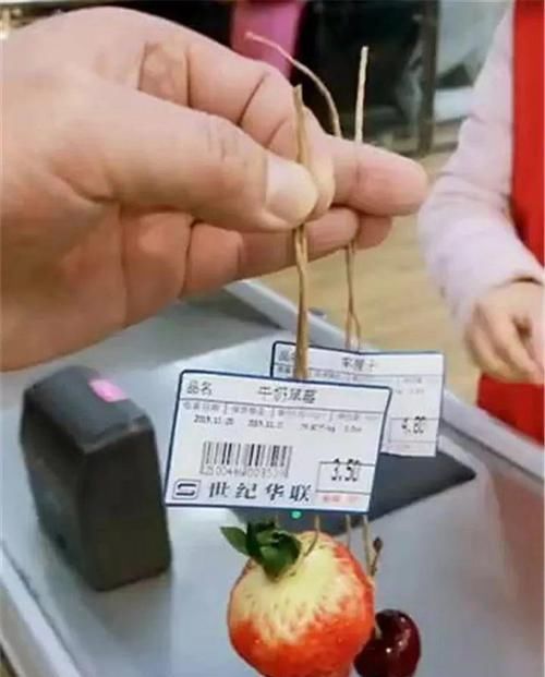  「增加光照」这水果太贵了，吃完留下核，还能种盆栽！