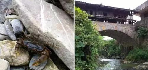  村民：宅基地离公路两百多米, 想修条路拉建材, 却遭到村民百般阻挠