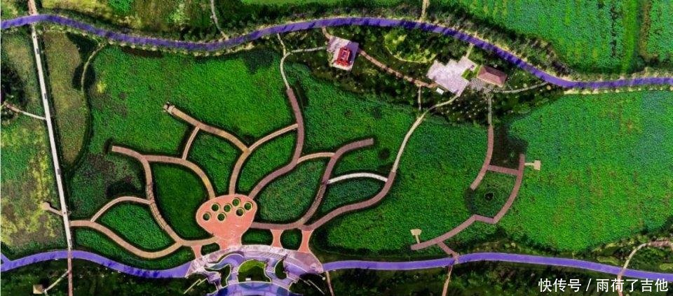 陕西这处千亩荷塘已盛开成海，碧叶连天，人少景美只等你来！