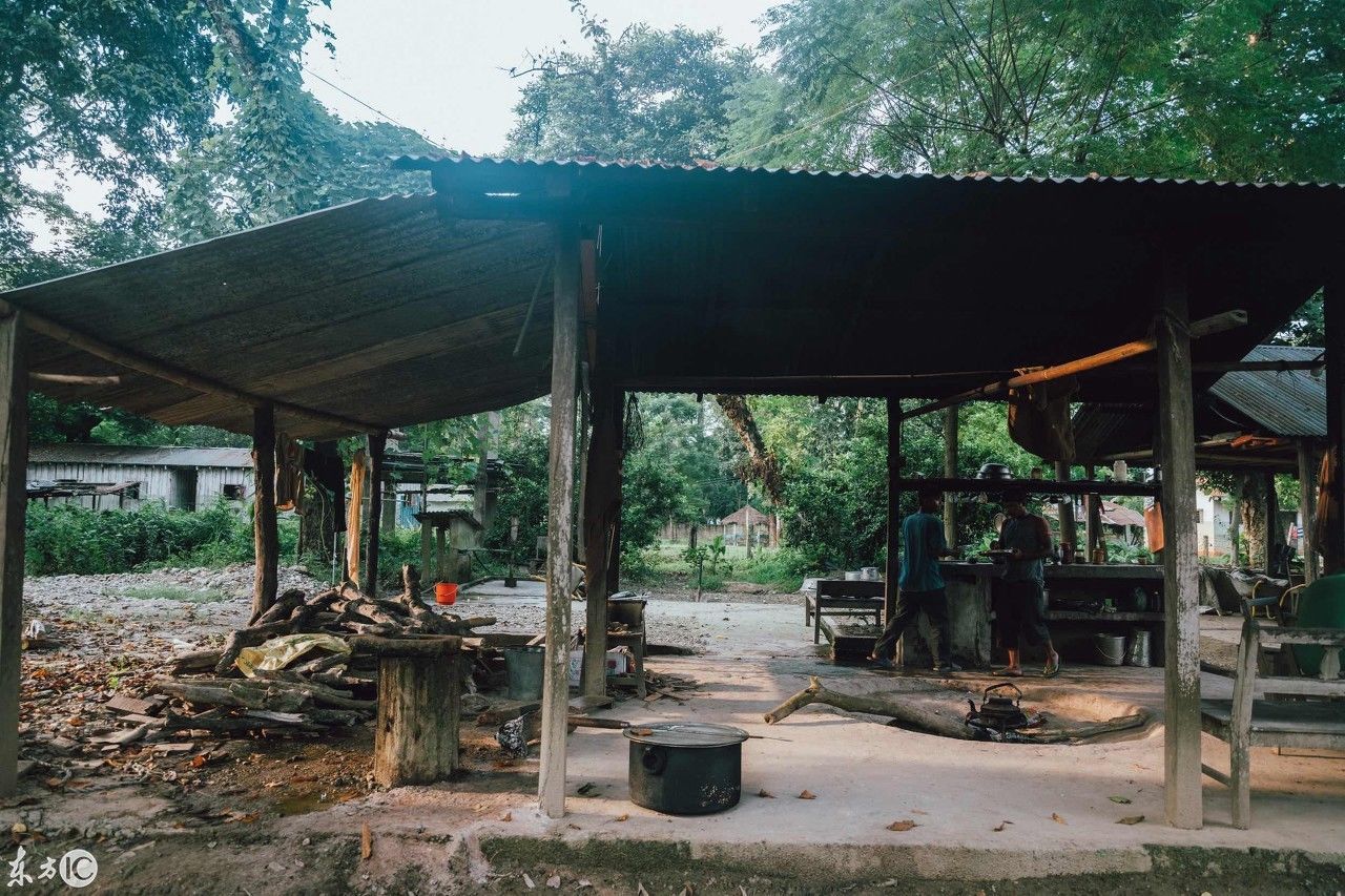 尼泊尔奇特旺国家森林公园