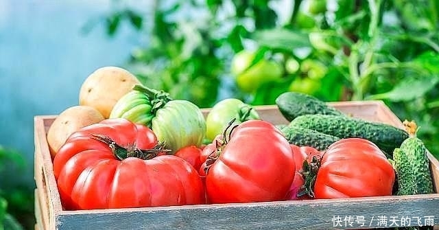  【返乡创业】返乡创业热潮来了，国家大力扶持，这几个项目未来