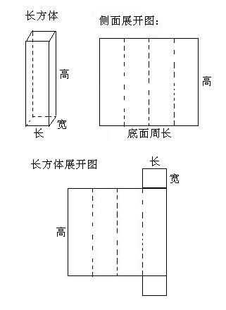 长方形的十一种展开图图片