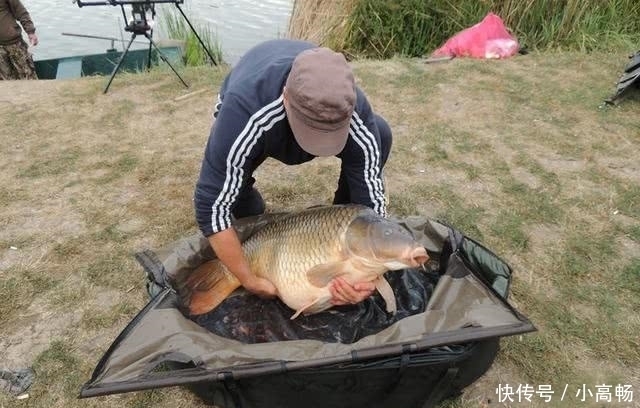  『钓到』我在美国钓鱼的日子，这里的鲤鱼虽然肥硕，但有股煤油味