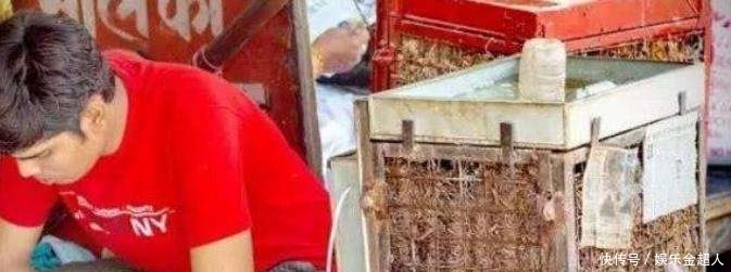 印度高温55度，奇思妙想的稻草空调供不应求！网友：还是你们厉害