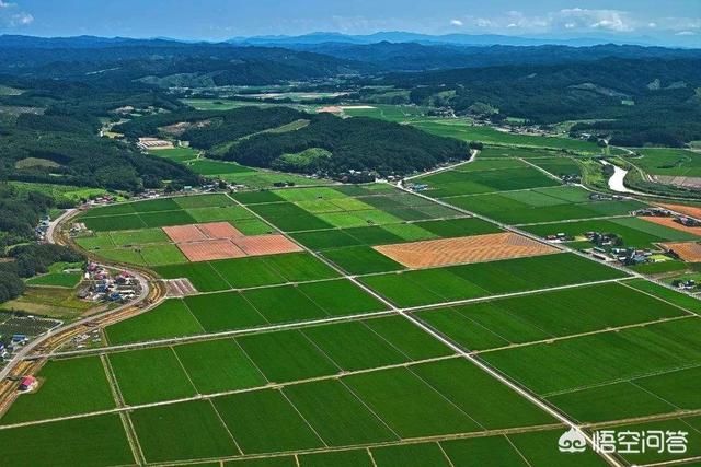 本轮机构改革，乡镇国土资源管理所怎么改？