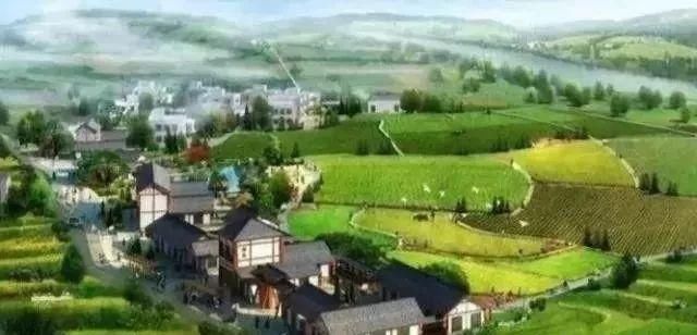 又一农业项目热得发烫，国家重点支持，专家:乡村振兴的新模式