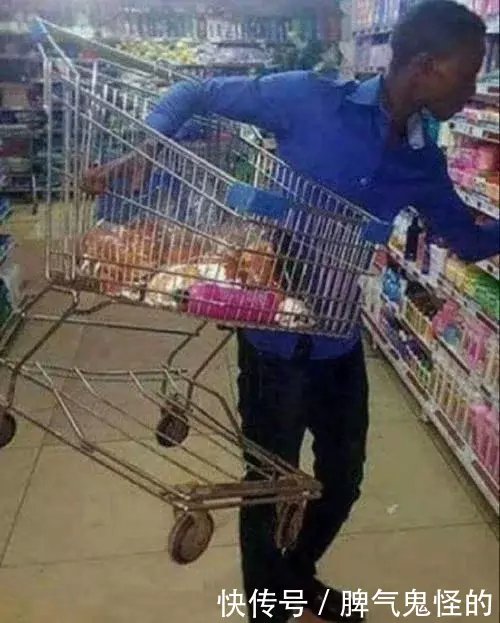 每日一笑:熊孩子翻车现场,你妈还有5秒钟到达