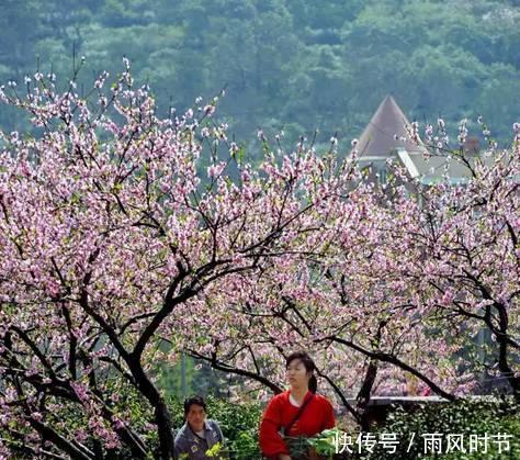  #攻略#中国内湖第一岛苏州洞庭西山岛旅行攻略