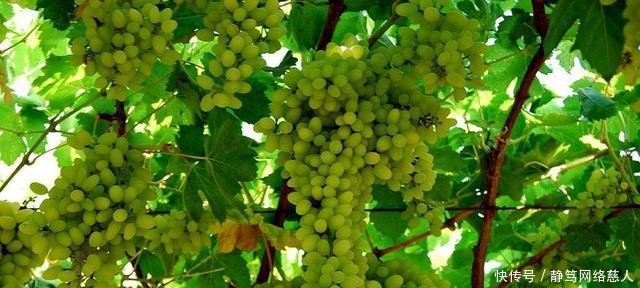 我国正建一条重量级铁路, 横穿沙漠雪山冰川高原, 经过你家乡吗