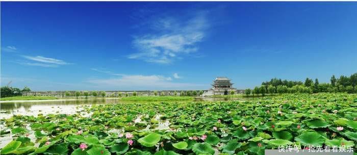 这条高铁路线, 350公里／小时, 途径9个站点, 预计2021年全线建成