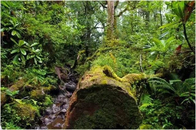那些隐秘世外的墨脱美景，是不容错过的神奇!