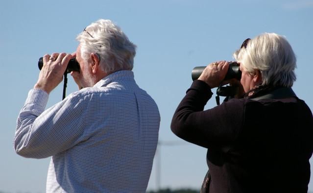  养老金|社保缴满15年, 停缴后, 会出现什么情况?