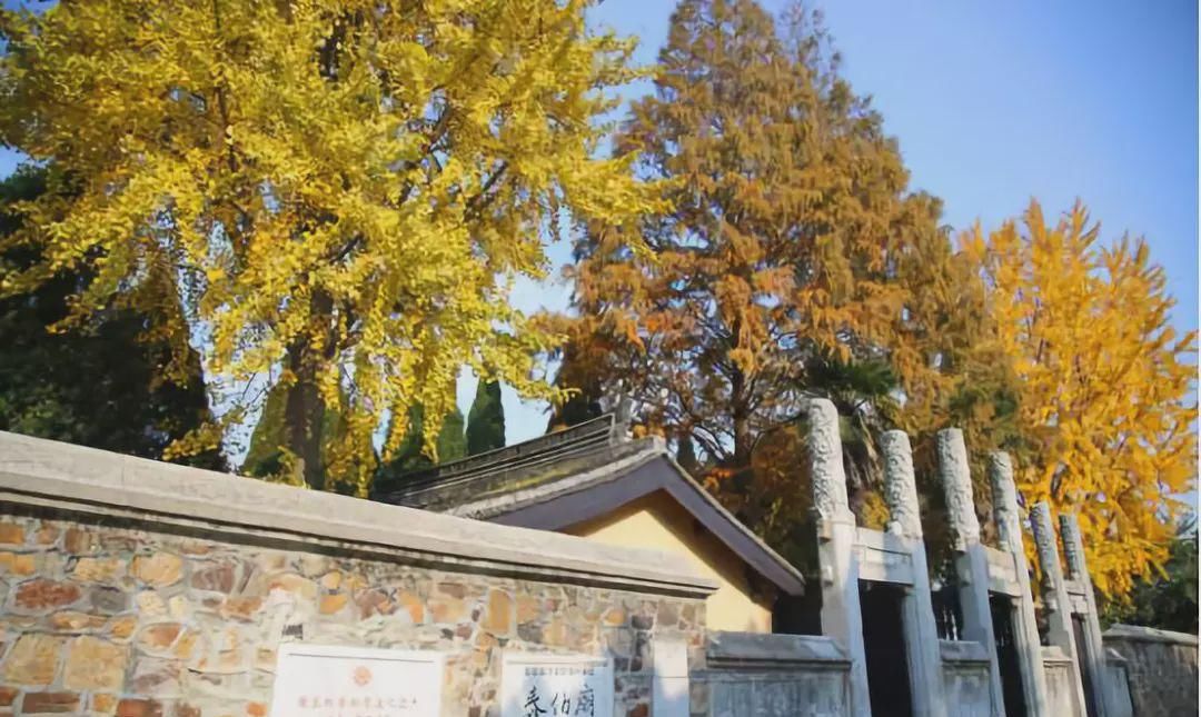 无锡高新区赏叶地图,这里藏着你不知道的最美秋色