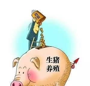  农民|为什么不提倡农民进入成本较高的养殖业？