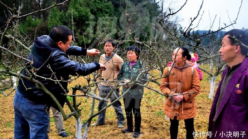 未来5年，农村4种人将‘暴富’，就看你敢不敢干，敢做就有机会