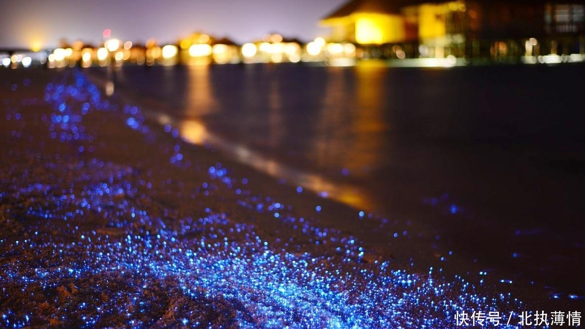 世界6大高颜值海滩，有条件去的游客不多，关键是真的好玩！