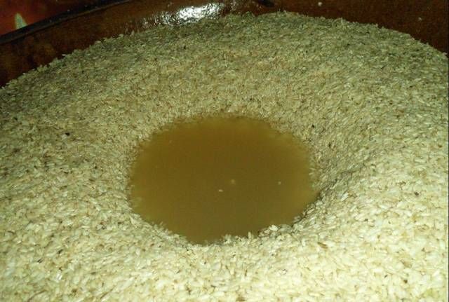  米酒酒糟：自制饵中屡屡提及的酒糟到底是个什么东西，为什么野钓高手都推荐