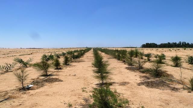 美卫星临空飞过 3000万公顷国土突现重大变化 打造世界独一份