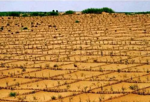 我国这个“最丢人”的沙漠：600多万亩黄沙变成绿洲，被种上土豆