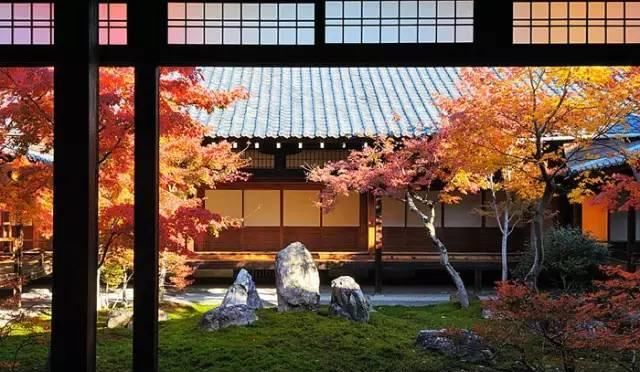 诗意心境,禅意鱼池,你所不知道的佛系庭院