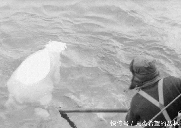 士兵■“腰刀行动”中可怜的德军士兵差点疯掉！对受降的敌人感激涕零