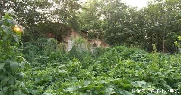 再过10年，农村将迎“5大洗牌”，涉及农村家家户户，早做准备