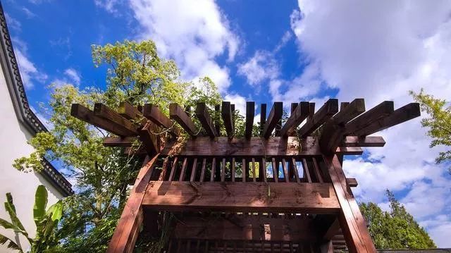 国内最大的专类盆景园,江南园林海派风格美不胜收