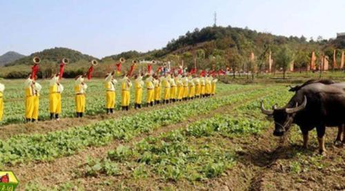  「村村」2020年或将全面实施农村“两改一入户”！几乎村村有，