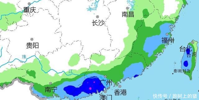  「广西」广东 福建 广西！“杨柳”台风雨确认！中雨大雨暴雨将