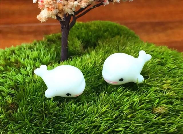 春色不仅在田野里，也可以刻在你家玻璃缸内的苔藓景观缸中！