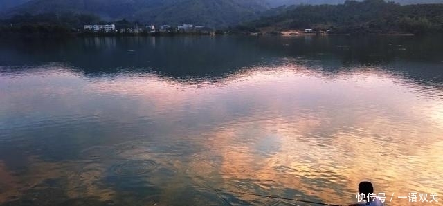  【钓点】秋季垂钓“鲤鱼”无处入手？找找这四个钓点，不到一分钟黑漂上鱼
