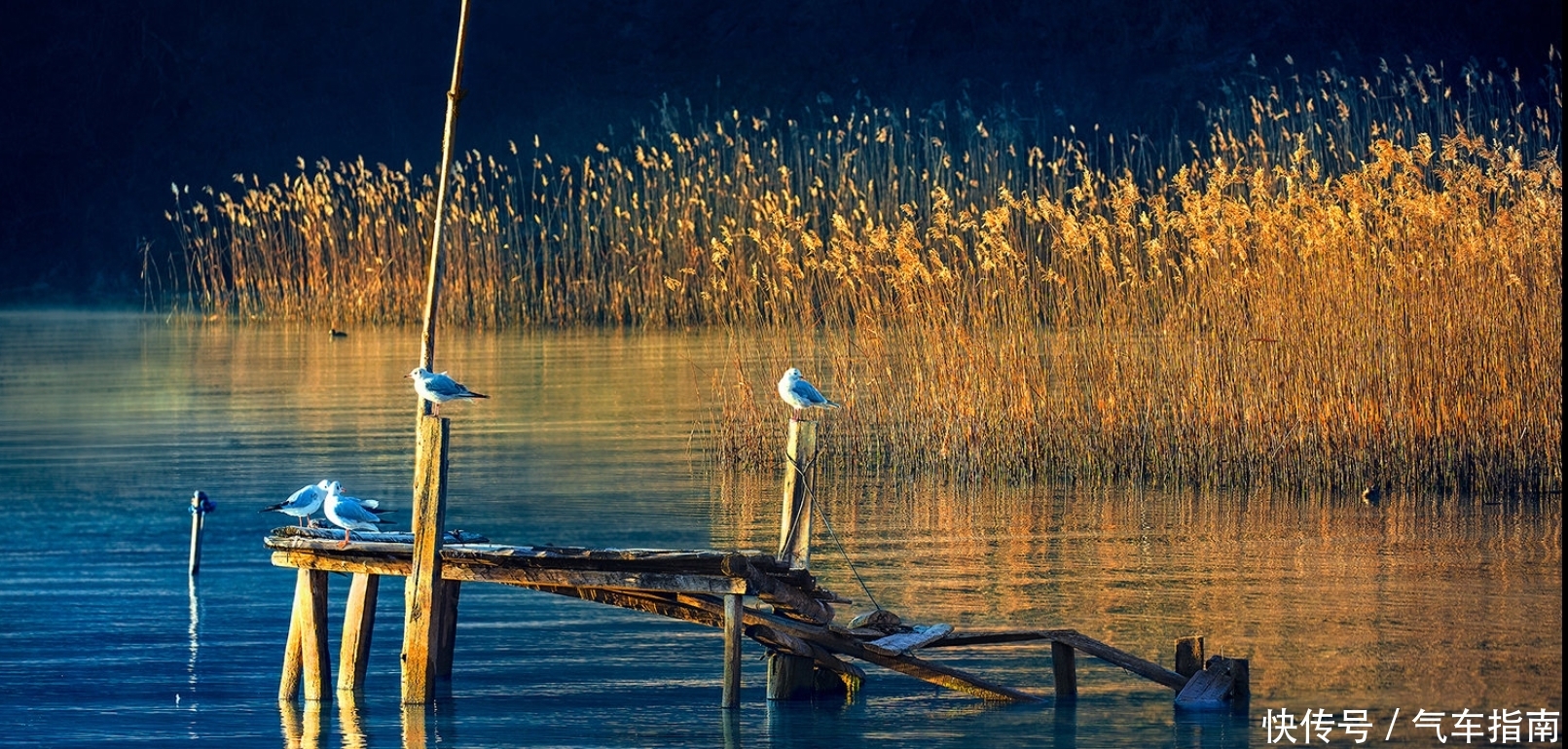 女儿国的现实版,云贵高原深处的一个部落,号称是“女人的天堂”