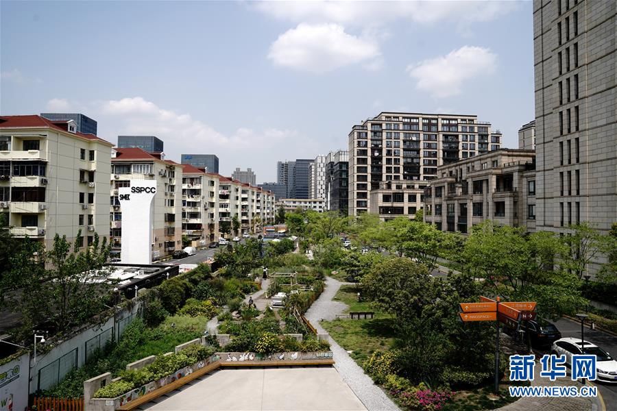  『风景』上海:“社区花园”成为都市里的亮丽风景