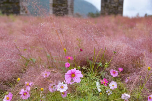  出炉■最新宜居城市排行榜出炉，湖南这个三线城市入围，是你的