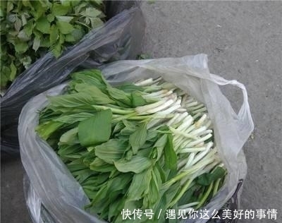  买到|曾经常被当成杂草，如今变成高档野菜，有价无市难买到！