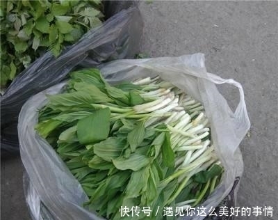 买到|曾经常被当成杂草,如今变成高档野菜,有价无市难买到!