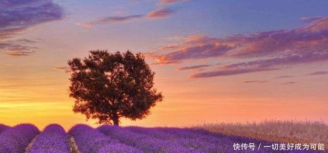 一生必去的30个旅游景点,去过10个以上就是旅行达人!